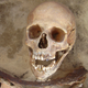 Image for article titled New Clues Point To The Origin Of Poland's Mysterious 'Vampires'